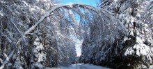 Winter-Ausflugstipps Winter-Ausflugstipps