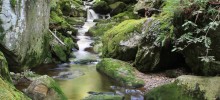 Wandern Wandern