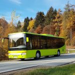 Igelbusse Igelbusse