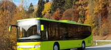 Igelbusse Igelbusse