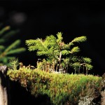Wandern im Nationalpark Wandern im Nationalpark