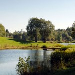 Spiegelauer Kurpark Spiegelauer Kurpark