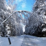 Wintersport Wintersport